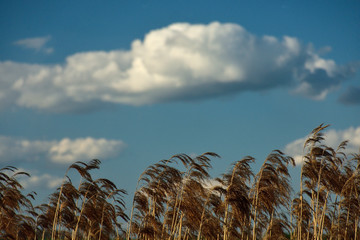 Pejzaż z chmurą © Grzegorz Polak