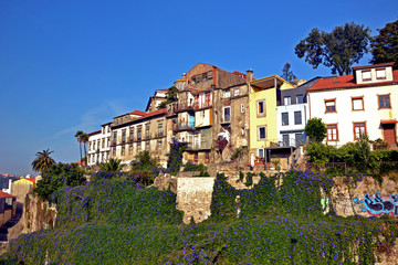 Fototapeta na wymiar Porto, Portugal - August 17, 2015: Focus a set of buildings covered with blue flowers. It is Ipomea, also called volubilis or blue bindweed.