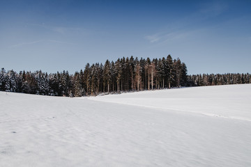 Winter im Schwarzwald