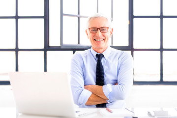 Senior businesswoman using laptop while working in the office