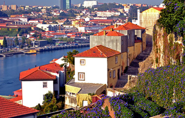 Porto, Portugal - August 17, 2015: Focus a set of buildings covered with blue flowers. It is Ipomea, also called volubilis or blue bindweed.