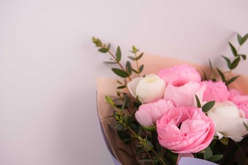 pale pink ranunculus on blue background
