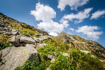 Beautiful mountain scenery in a sunny summer day. Rila mountain, Bulgaria. Hiking/ trekking concept.