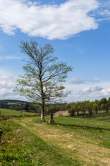panorama Beskid niski 
