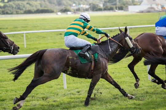 Galloping  race horse and jockey running on the race track