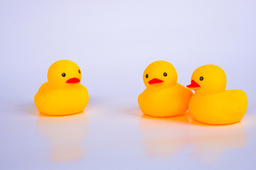 Yellow duck toys isolated on white background for friendship and unity concept.
