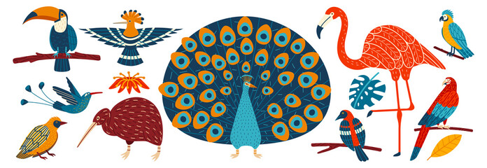 Exotic tropical birds isolated on white, hand drawn cartoon characters, vector illustration. Colorful wildlife stickers of peacock, flamingo, hummingbird, toucan and hoopoe bird. Macaw parrot and kiwi © Seahorsevector