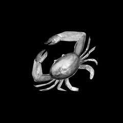 Aquarelle painting of crab sketch art illustration