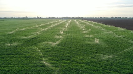 Aerial view of agricultural sprinkler system in grass land.