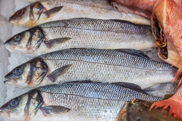 Fresh fish on ice at a market counter. Healthy eating Close-up.