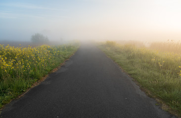 Empty rural road during a foggy, spring sunrise.