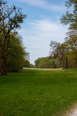 Fototapeta na wymiar Beautiful landscape in park with tree and green grass field at morning