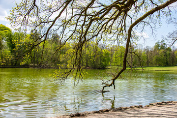 Lakeside