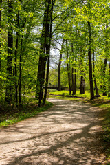 Bridge, old stone bridge