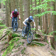Fototapeta premium Mutige Mountainbiker auf einem wurzeligen Wald-Trail