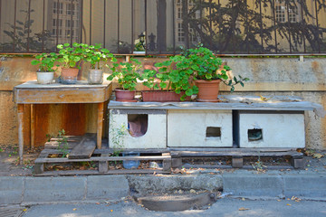 A street cat shelter built by locals on the island of Buyukada, one of the Prices' Islands, also known as Adalar, in the Sea of Marmara off the coast of Istanbul, Turkey
