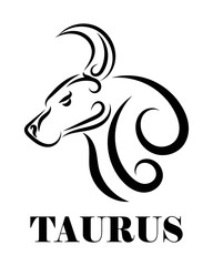 Line Vector Illustration of Bull. It is signs of the taurus zodiac.