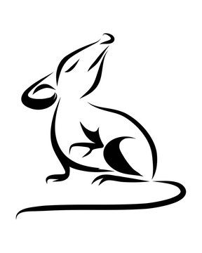 Line drawing vector image of a rat. It has black lines on a white background.