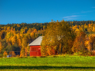 Plakat red barn in autumn landscape
