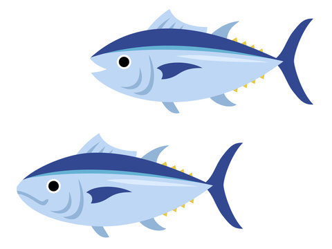 クロマグロ Images Browse 147 Stock Photos Vectors And Video Adobe Stock