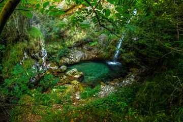 Laguna con tonos verdes rodeada de vegetación con cascada entre árboles en un lugar recóndito y salvaje de los Picos de Europa, en Caín de Valdeón