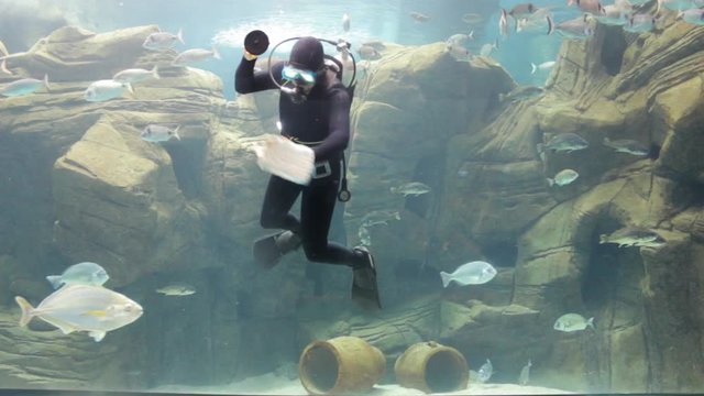 Scuba diver and sucker clean glass in aquarium