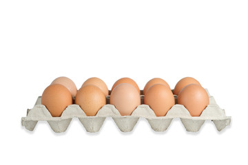 Egg in panel on white background with clipping path