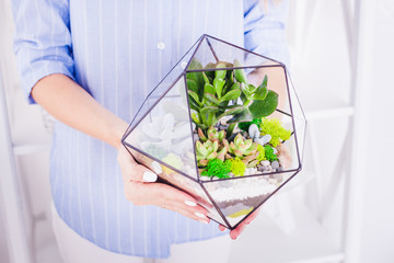 Florarium - composition of succulents, stone, sand and glass, element of interior, home decor, glass terarium
