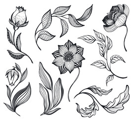 Vector collection with hand drawn doodle flowers and leaves.