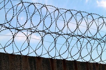 Barbed wire on a concrete fence