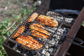 Grill, barbecue, meat on the grill and coals, cooking, on the air, communication and vegetables