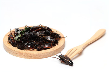 Insects are foods that are high in protein. Used instead of meat protein.
