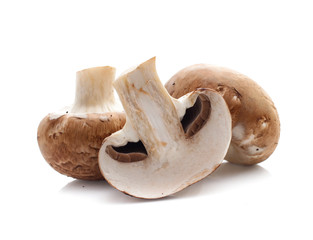 Fototapeta na wymiar champignon mushrooms on white background