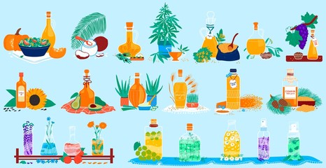 Cooking oil sorts application, natural kinds of edible vegetable food oils with origin product vector illustration set. Olive oil grape seed, walnut, coconut and avocado, sunflower, plants and flower.