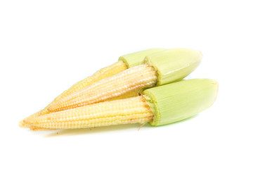 baby corn isolated on white background