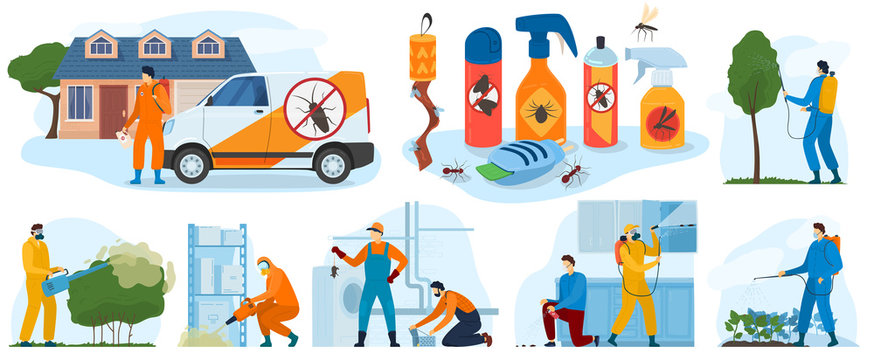 Pest control services, insects exterminator with insecticide spray and in protection cloths flat icons isolated vector illustration. Pesticide detecting pestholes exterminating insects.