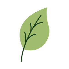 Fototapeta premium leaf plant organic flat style icon
