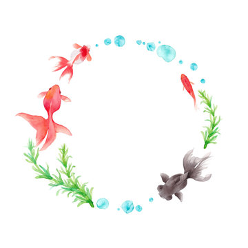 112 Best らんちゅう Images Stock Photos Vectors Adobe Stock 112 Best らんちゅう Images Stock Photos Vectors Adobe Stock