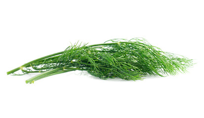 Green dill isolated on white background