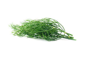 Green dill isolated on white background
