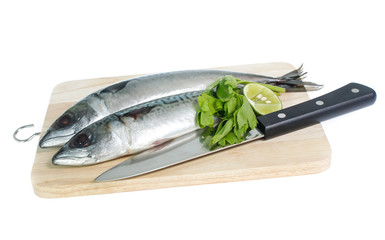 Fresh saba fish isolated on white background