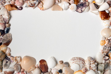 Obraz premium Frame mock up from sea shells, summer vacation concept. White paper background, top view, copy space. Series of photo in minimal style. Blanks and layouts for banners, photo book pages and brochures.