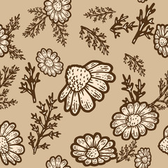 Seamless pattern. Plant blooming camomile isolated. Sketch scratch board imitation.