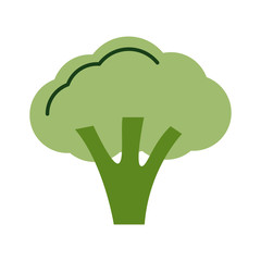 broccoli fresh flat style icon