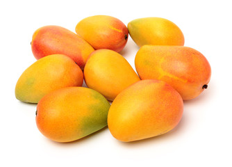 Mango on a white background