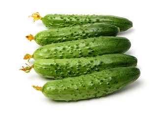 Green cucumber on the white background