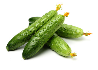 Green cucumber on the white background