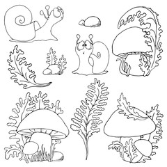 Set mushroom edible porcini and surprised snail sketch black outline different elements isolated on white background