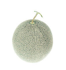 green melon isolated on white