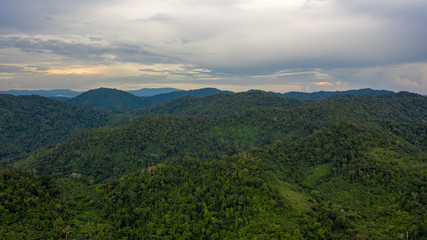Mountain rainforest landscape aerial drone photo 